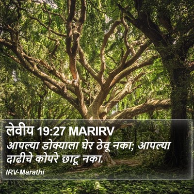 लेवीय 19:27 MARIRV Bible Verse Image