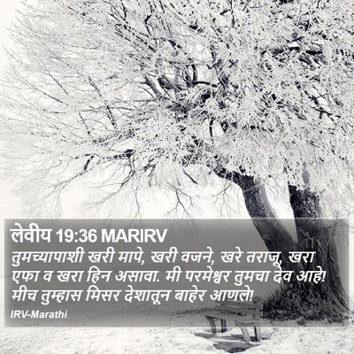 लेवीय 19:36 MARIRV Bible Verse Image