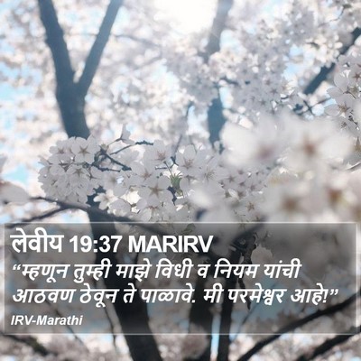लेवीय 19:37 MARIRV Bible Verse Image