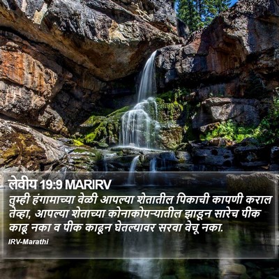 लेवीय 19:9 MARIRV Bible Verse Image