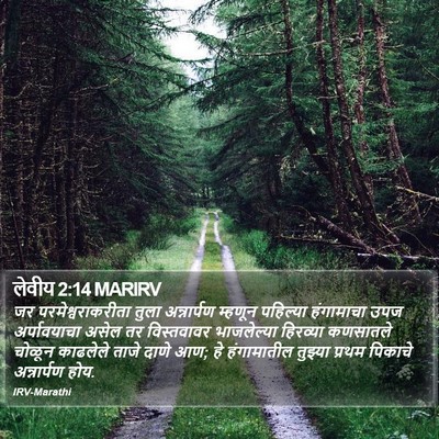 लेवीय 2:14 MARIRV Bible Verse Image