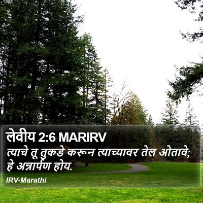 लेवीय 2:6 MARIRV Bible Verse Image