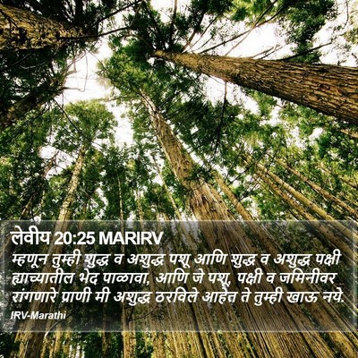 लेवीय 20:25 MARIRV Bible Verse Image