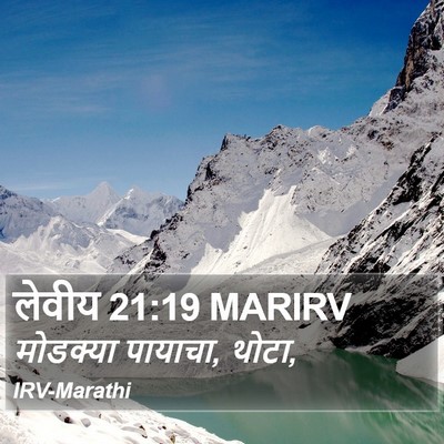 लेवीय 21:19 MARIRV Bible Verse Image