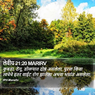 लेवीय 21:20 MARIRV Bible Verse Image