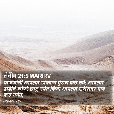 लेवीय 21:5 MARIRV Bible Verse Image