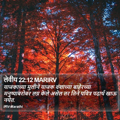लेवीय 22:12 MARIRV Bible Verse Image