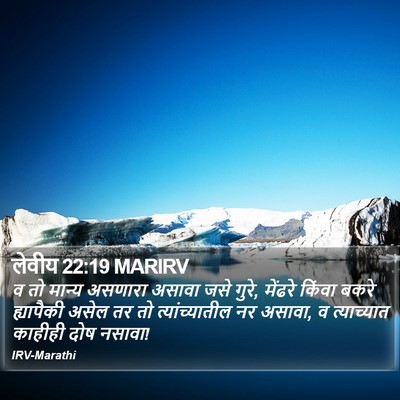 लेवीय 22:19 MARIRV Bible Verse Image
