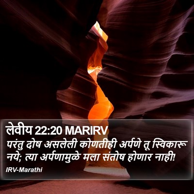 लेवीय 22:20 MARIRV Bible Verse Image