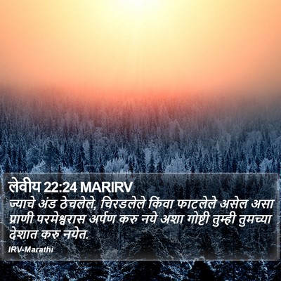 लेवीय 22:24 MARIRV Bible Verse Image