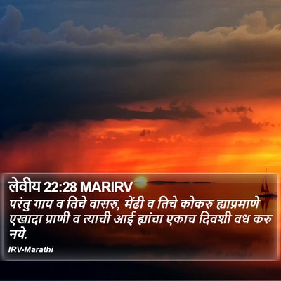 लेवीय 22:28 MARIRV Bible Verse Image