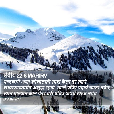 लेवीय 22:6 MARIRV Bible Verse Image
