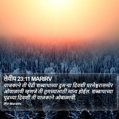 लेवीय 23:11 MARIRV Bible Verse Image
