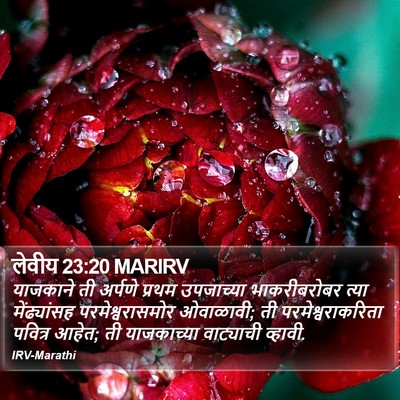 लेवीय 23:20 MARIRV Bible Verse Image