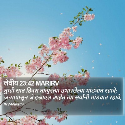 लेवीय 23:42 MARIRV Bible Verse Image