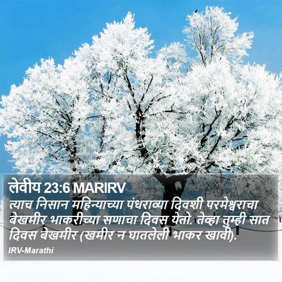 लेवीय 23:6 MARIRV Bible Verse Image