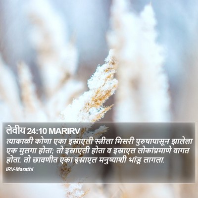 लेवीय 24:10 MARIRV Bible Verse Image