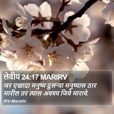 लेवीय 24:17 MARIRV Bible Verse Image