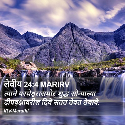 लेवीय 24:4 MARIRV Bible Verse Image