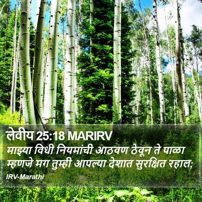 लेवीय 25:18 MARIRV Bible Verse Image
