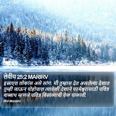 लेवीय 25:2 MARIRV Bible Verse Image
