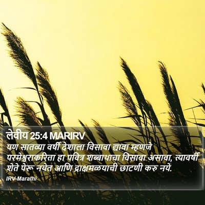 लेवीय 25:4 MARIRV Bible Verse Image