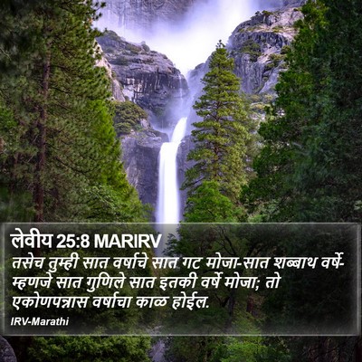 लेवीय 25:8 MARIRV Bible Verse Image