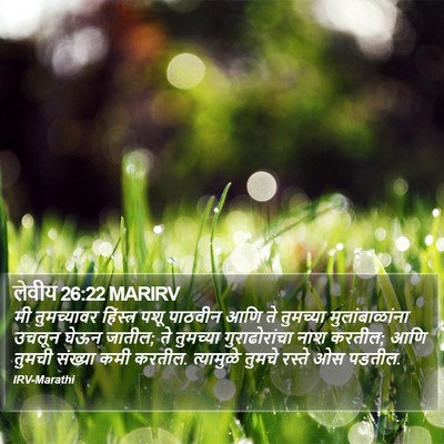 लेवीय 26:22 MARIRV Bible Verse Image