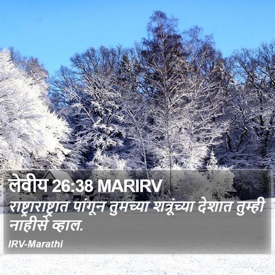 लेवीय 26:38 MARIRV Bible Verse Image