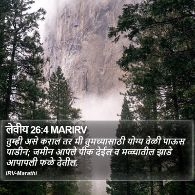 लेवीय 26:4 MARIRV Bible Verse Image