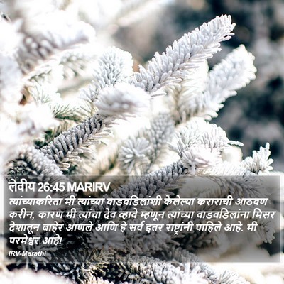 लेवीय 26:45 MARIRV Bible Verse Image