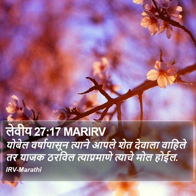 लेवीय 27:17 MARIRV Bible Verse Image