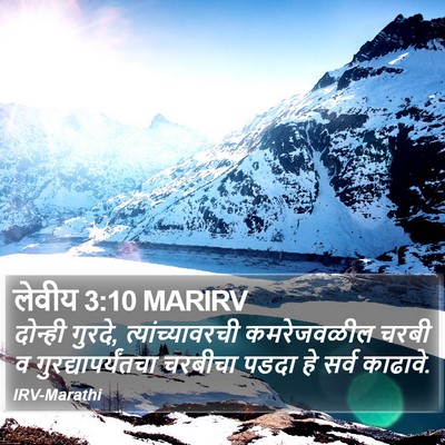 लेवीय 3:10 MARIRV Bible Verse Image