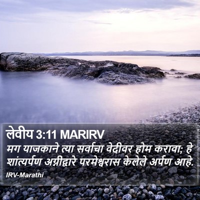 लेवीय 3:11 MARIRV Bible Verse Image