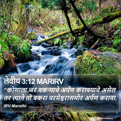 लेवीय 3:12 MARIRV Bible Verse Image