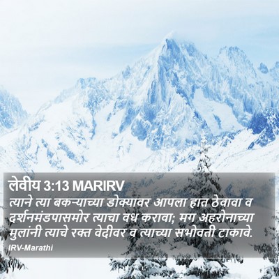 लेवीय 3:13 MARIRV Bible Verse Image