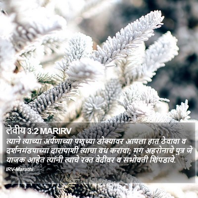 लेवीय 3:2 MARIRV Bible Verse Image