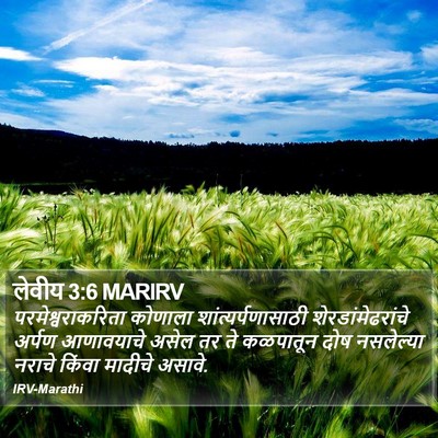 लेवीय 3:6 MARIRV Bible Verse Image
