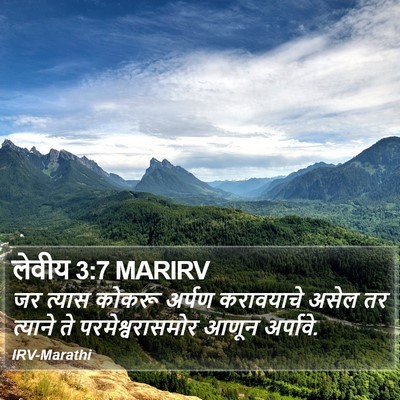 लेवीय 3:7 MARIRV Bible Verse Image