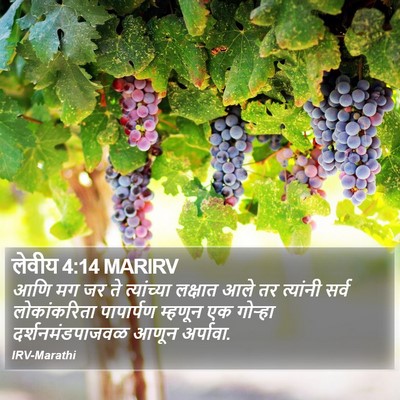 लेवीय 4:14 MARIRV Bible Verse Image