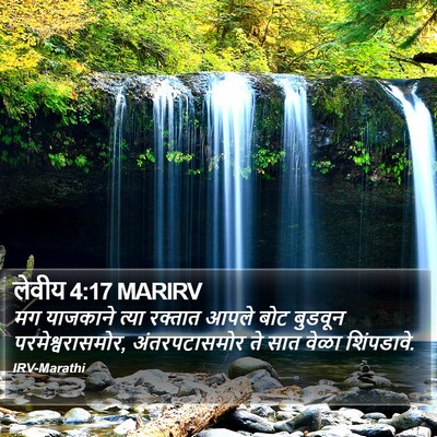 लेवीय 4:17 MARIRV Bible Verse Image
