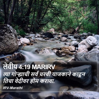 लेवीय 4:19 MARIRV Bible Verse Image