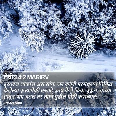 लेवीय 4:2 MARIRV Bible Verse Image