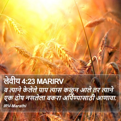 लेवीय 4:23 MARIRV Bible Verse Image