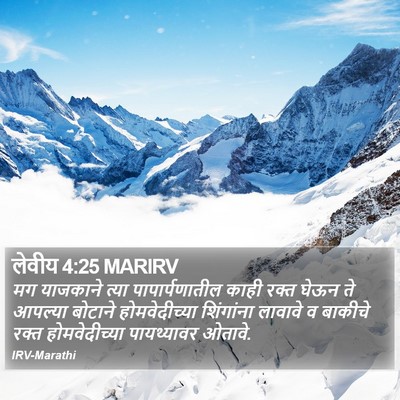लेवीय 4:25 MARIRV Bible Verse Image