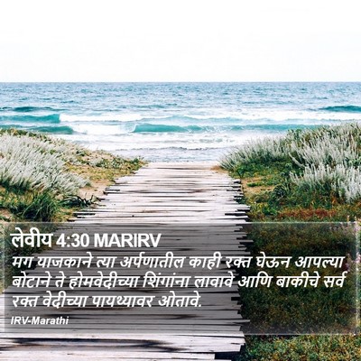 लेवीय 4:30 MARIRV Bible Verse Image