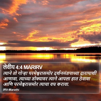 लेवीय 4:4 MARIRV Bible Verse Image