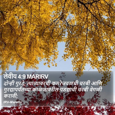 लेवीय 4:9 MARIRV Bible Verse Image