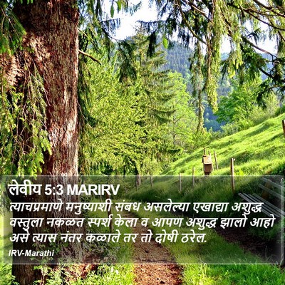 लेवीय 5:3 MARIRV Bible Verse Image