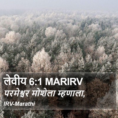 लेवीय 6:1 MARIRV Bible Verse Image